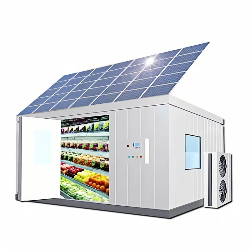 Power Tools Store - Cella Frigorifera Solare per Fattorie Off-Grid,