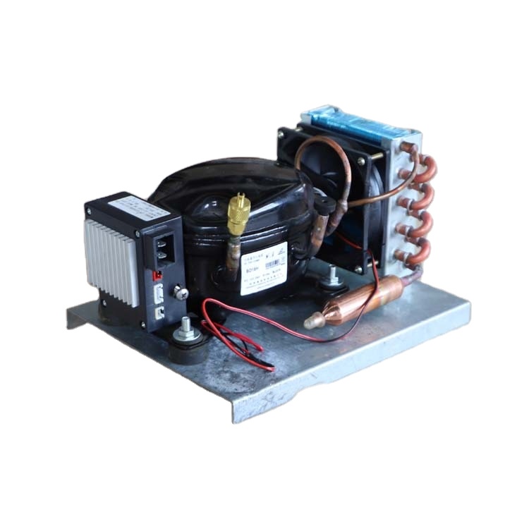 Air Compressor Mini - Unità di Condensazione Mini BD15HC con